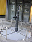 CIMG8757.jpg