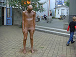 CIMG8764.jpg