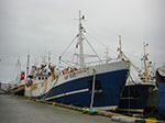 CIMG8779.jpg