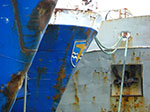 CIMG8780.jpg