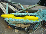 CIMG8781.jpg