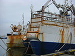 CIMG8784.jpg