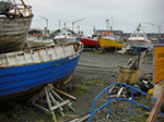 CIMG8785.jpg