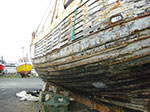 CIMG8789.jpg