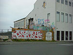 CIMG8792.jpg