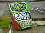 CIMG8794.jpg
