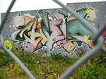 CIMG8797.jpg