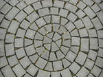 CIMG8811.jpg