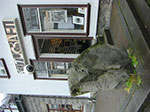 CIMG8878.jpg