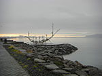 CIMG8893.jpg