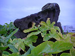 CIMG8941.jpg
