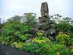 CIMG8943.jpg