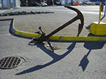CIMG9120.jpg