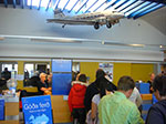 CIMG9316.jpg