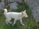 CIMG9544.jpg