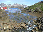 CIMG9547.jpg