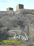 CIMG9558.jpg
