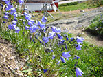 CIMG9567.jpg