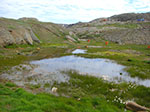 CIMG9660.jpg