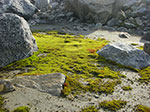 CIMG9999-0065.jpg