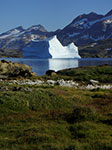CIMG0154.jpg