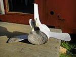 CIMG0167.jpg