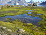 CIMG0213.jpg