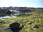 CIMG0237.jpg