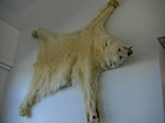 CIMG0298.jpg