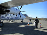 CIMG0300.jpg