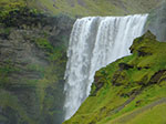 CIMG0649.jpg