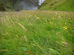 CIMG0654.jpg