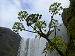 CIMG0682.jpg