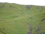 CIMG0704.jpg