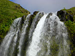 CIMG0710.jpg