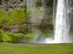 CIMG0718.jpg