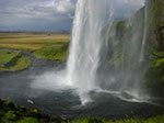 CIMG0739.jpg