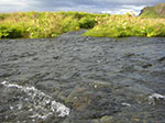CIMG0748.jpg