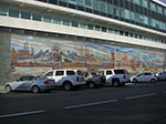 CIMG0875.jpg