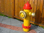CIMG0912.jpg