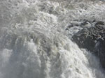 CIMG0973.jpg