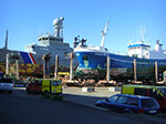 CIMG1283.jpg