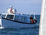CIMG1345.jpg