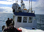 CIMG1354.jpg