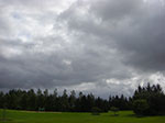 CIMG1589.jpg
