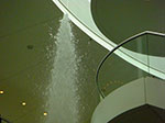 CIMG1664.jpg