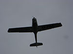 CIMG1736.jpg