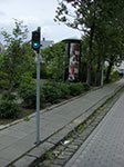 CIMG1785.jpg