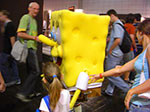 CIMG2011.jpg