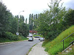 CIMG2175.jpg